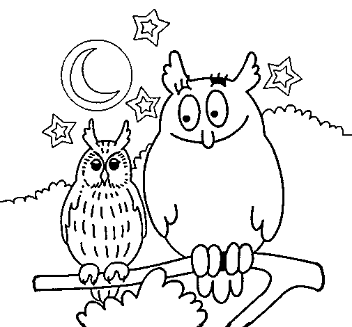 Coloring page: Owl (Animals) #8570 - Free Printable Coloring Pages