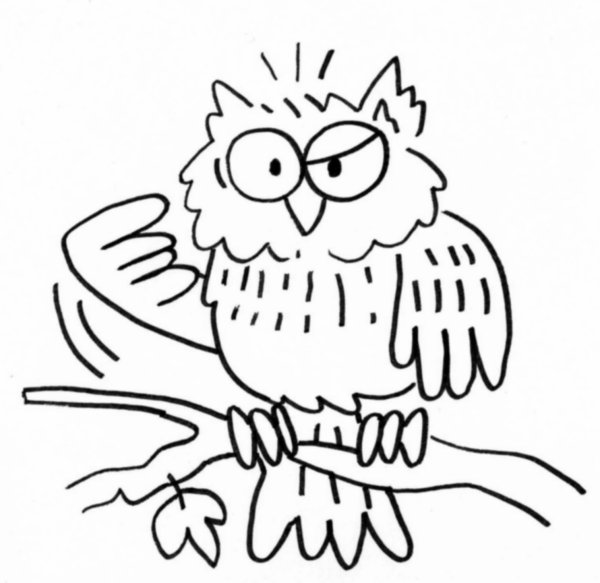 Coloring page: Owl (Animals) #8578 - Free Printable Coloring Pages