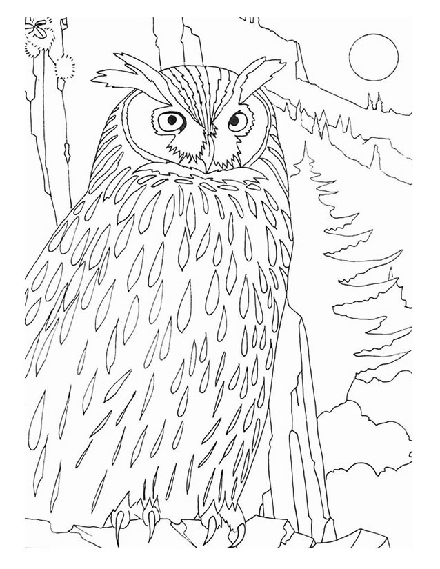 Coloring page: Owl (Animals) #8587 - Free Printable Coloring Pages