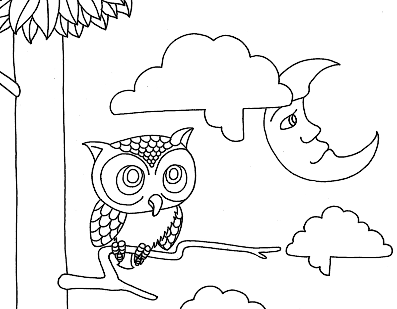 Coloring page: Owl (Animals) #8596 - Free Printable Coloring Pages