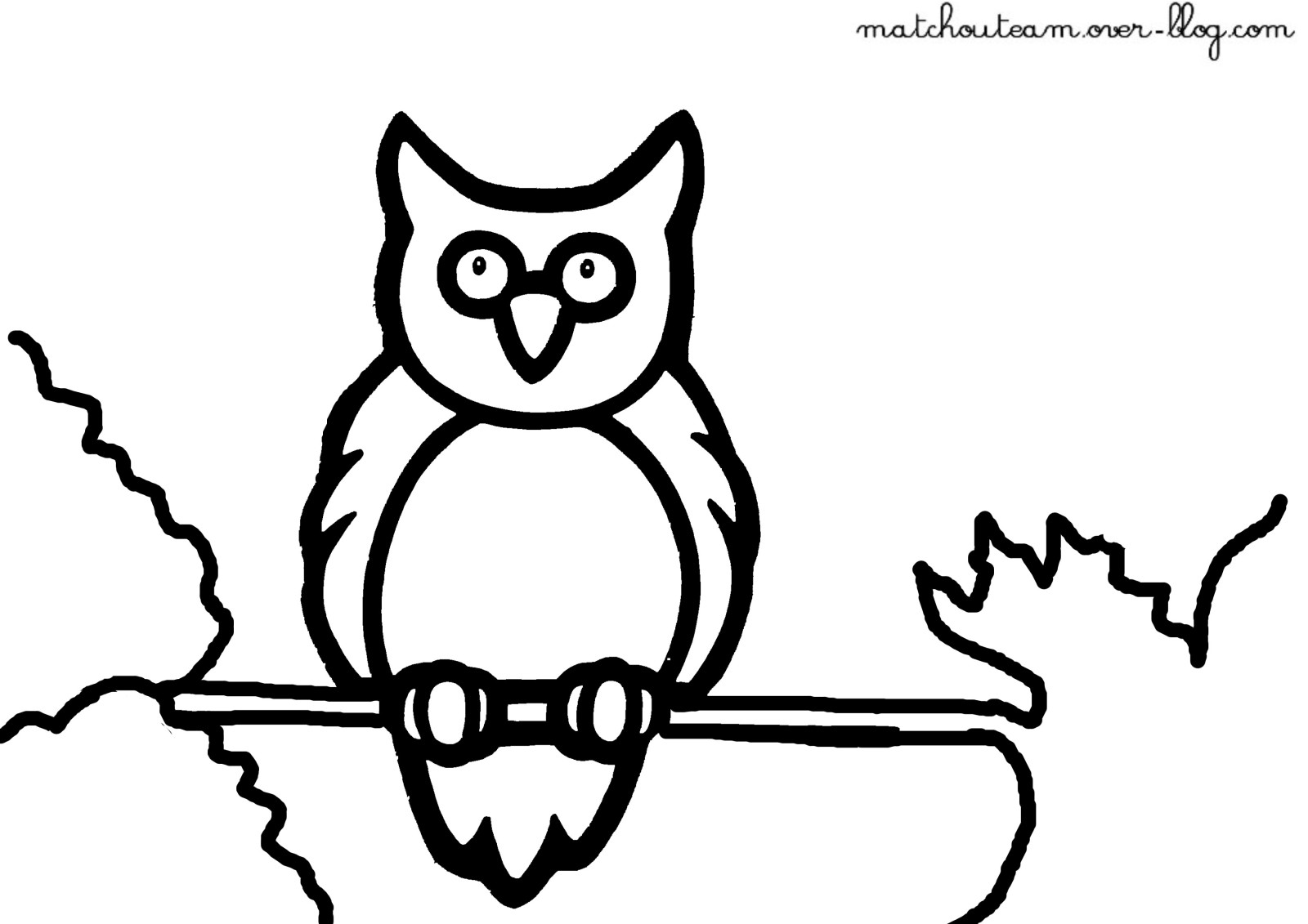 Coloring page: Owl (Animals) #8600 - Free Printable Coloring Pages