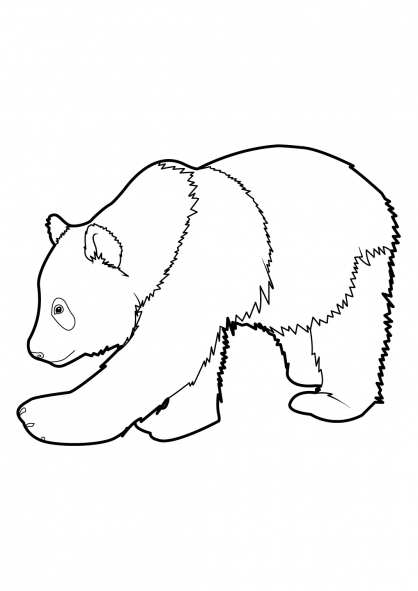 Coloring page: Panda (Animals) #12452 - Free Printable Coloring Pages