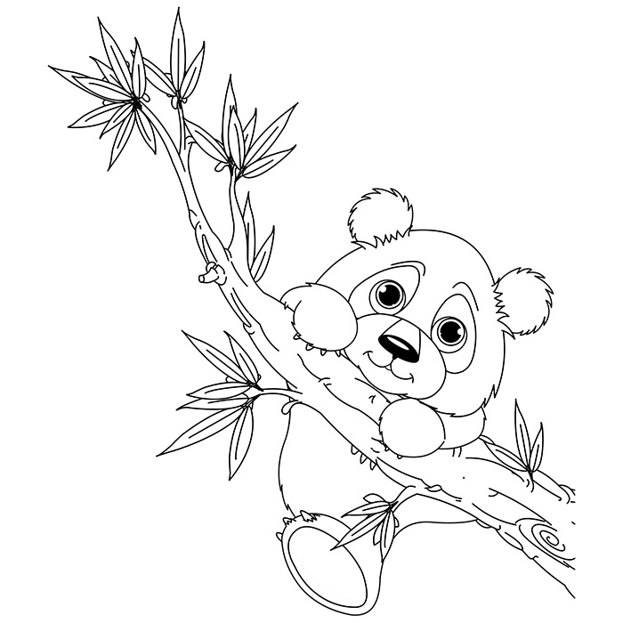 Coloring page: Panda (Animals) #12453 - Free Printable Coloring Pages