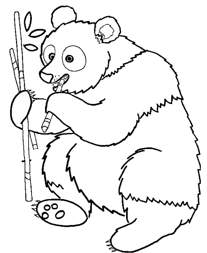 Coloring page: Panda (Animals) #12463 - Free Printable Coloring Pages