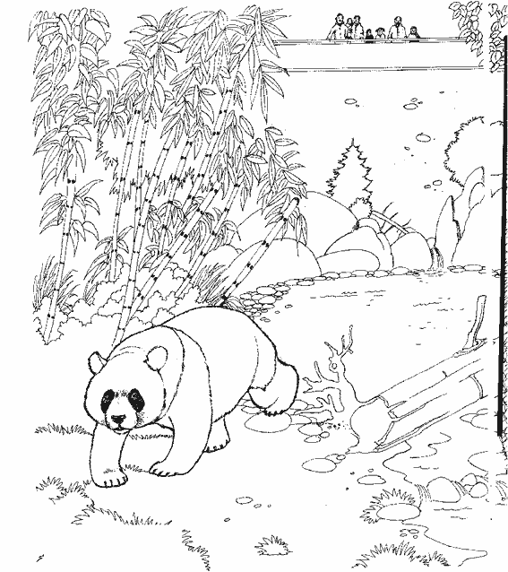 Coloring page: Panda (Animals) #12486 - Free Printable Coloring Pages
