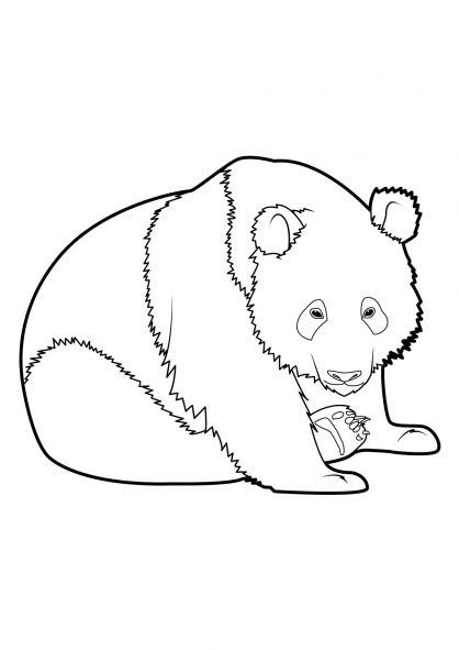 Coloring page: Panda (Animals) #12509 - Free Printable Coloring Pages