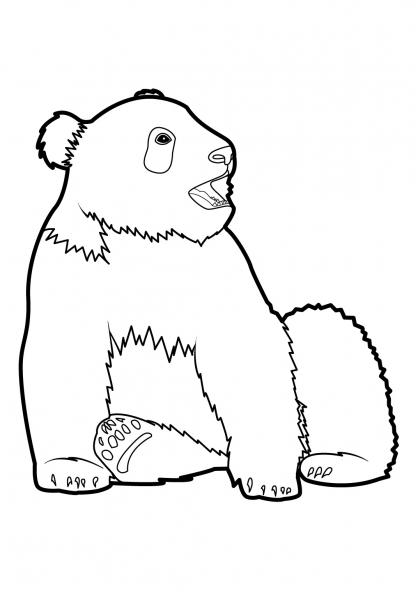 Coloring page: Panda (Animals) #12514 - Free Printable Coloring Pages