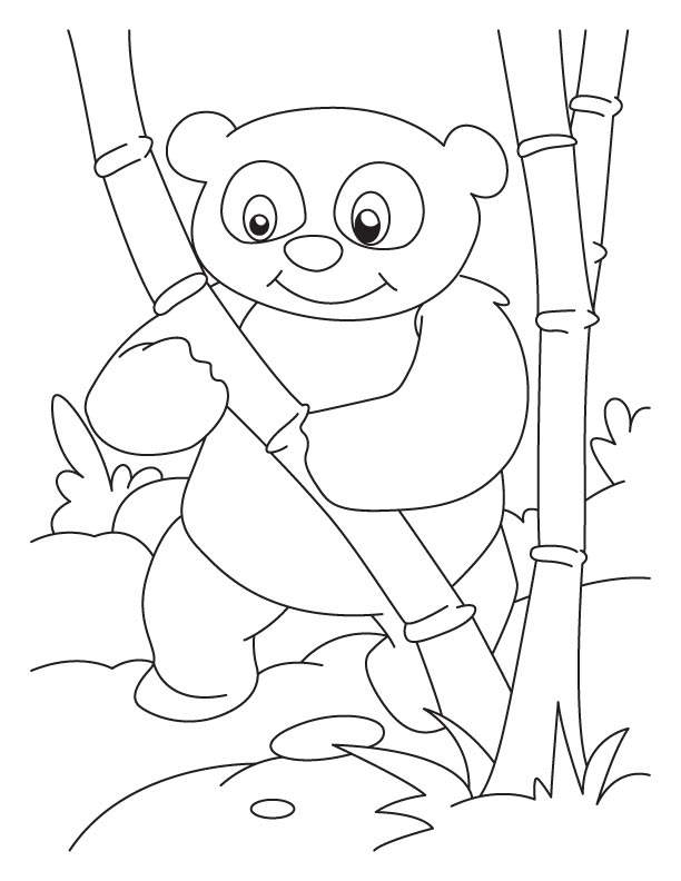 Coloring page: Panda (Animals) #12550 - Free Printable Coloring Pages