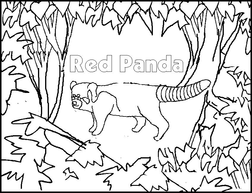 Coloring page: Panda (Animals) #12596 - Free Printable Coloring Pages