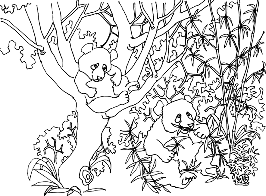 Coloring page: Panda (Animals) #12603 - Free Printable Coloring Pages