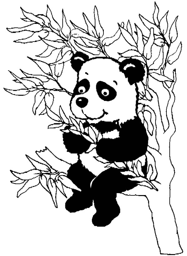 Coloring page: Panda (Animals) #12610 - Free Printable Coloring Pages