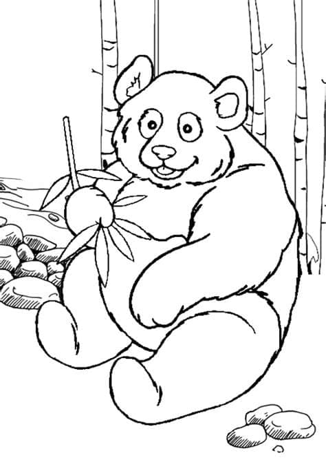 Free printable Panda coloring page #175228 from Animals collection