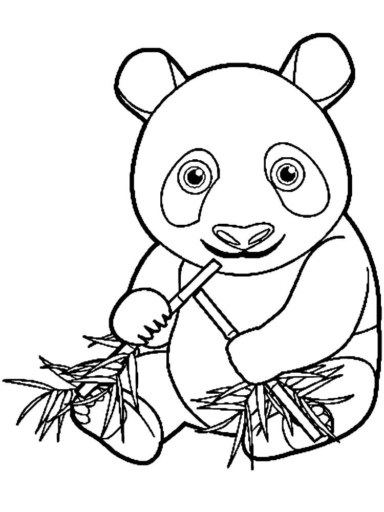 Free printable Panda coloring page #216923 from Animals collection