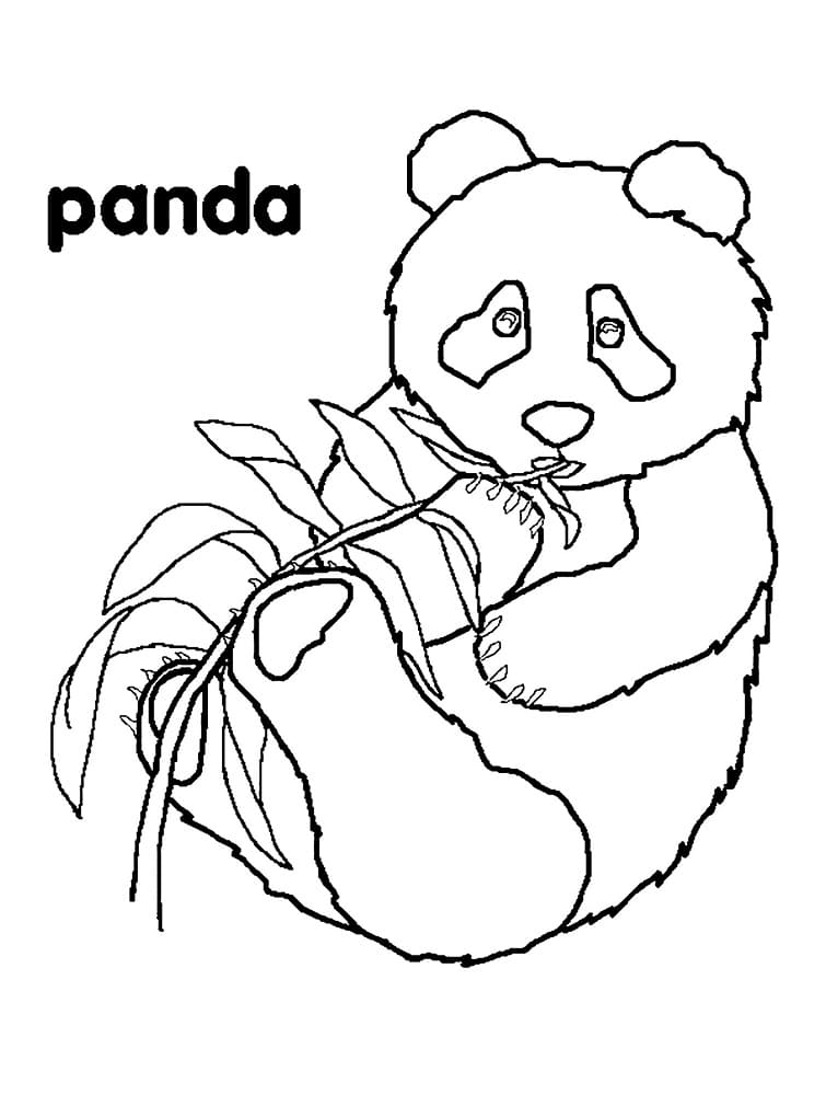 Free printable Panda coloring page #216924 from Animals collection