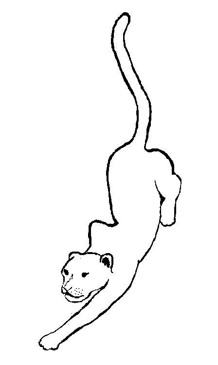 Coloring page: Panther (Animals) #15524 - Free Printable Coloring Pages