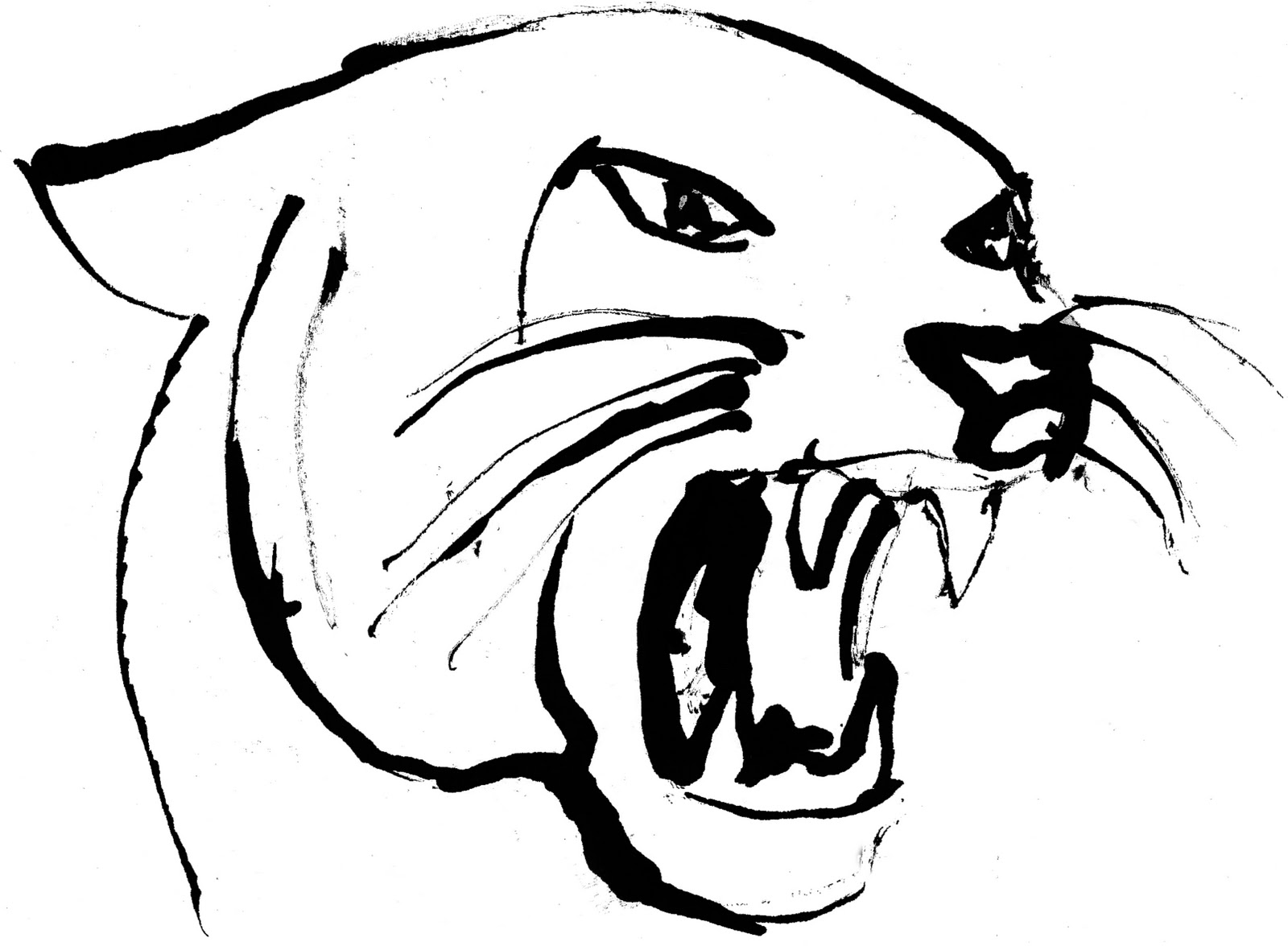 Panther Coloring Pages Color Florida Panthers Animal Animals Printable ...