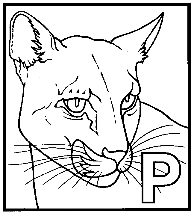 Drawing Panther #15594 (Animals) – Printable coloring pages