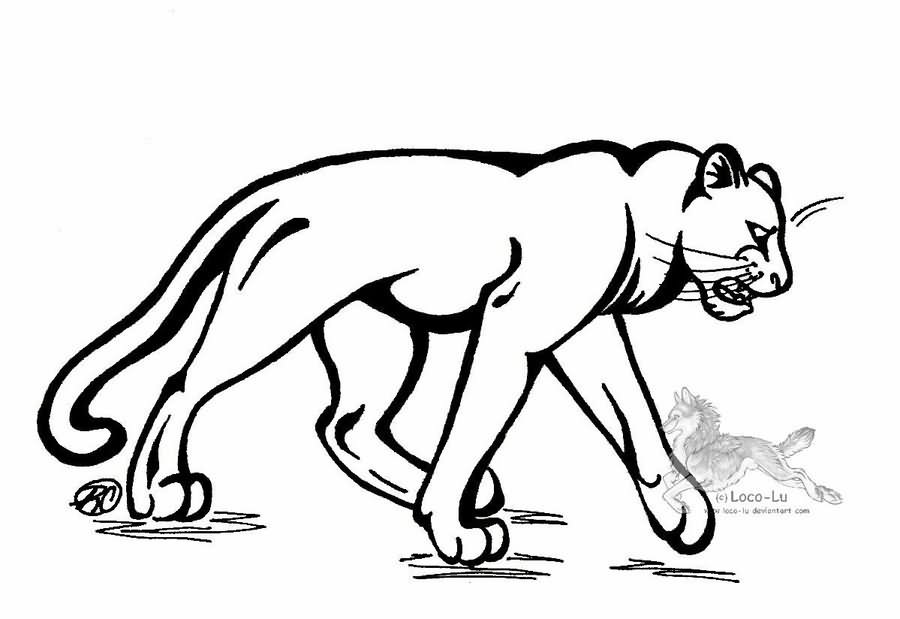 Coloring pages Panther (Animals) – Printable Coloring Pages