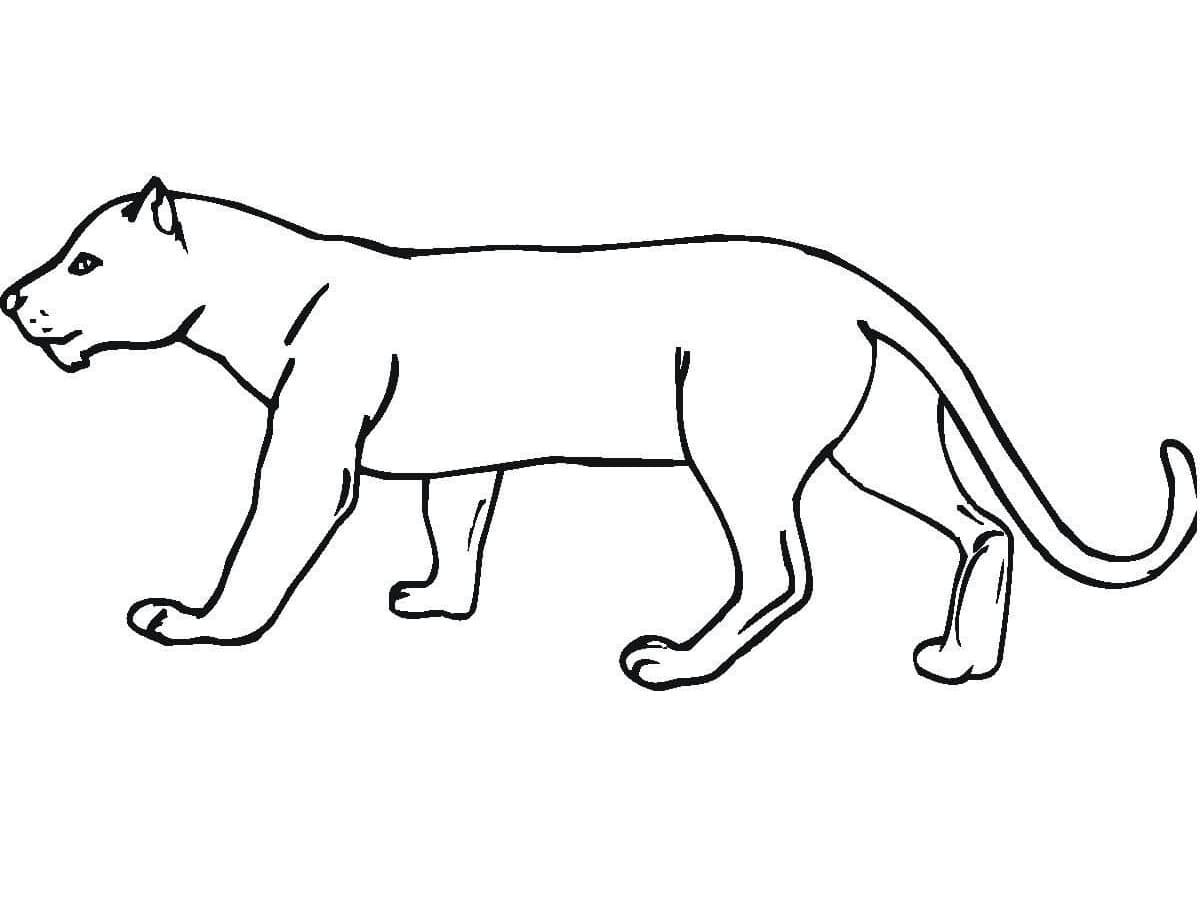 Free printable Panther coloring page #214441 from Animals collection
