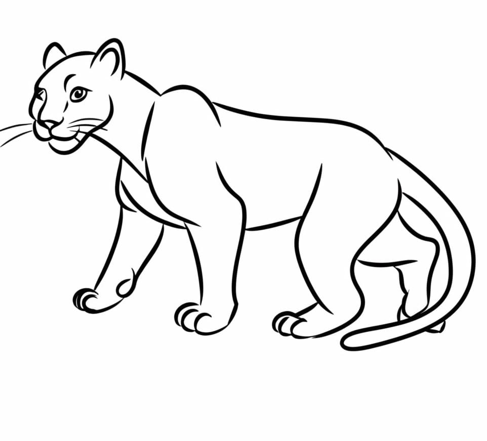 Free printable Panther coloring page #214445 from Animals collection