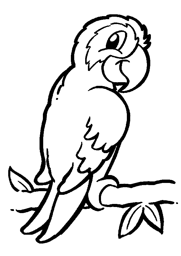 Coloring page: Parrot (Animals) #16061 - Free Printable Coloring Pages