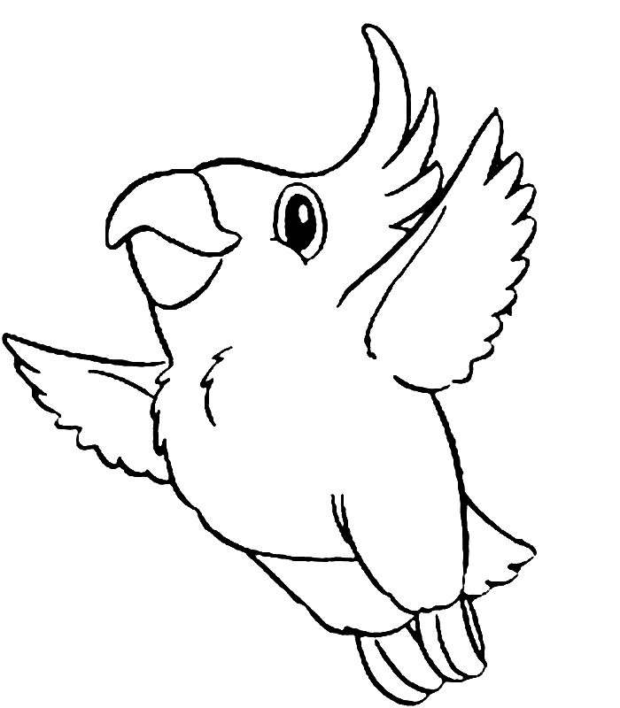 Coloring page: Parrot (Animals) #16063 - Free Printable Coloring Pages
