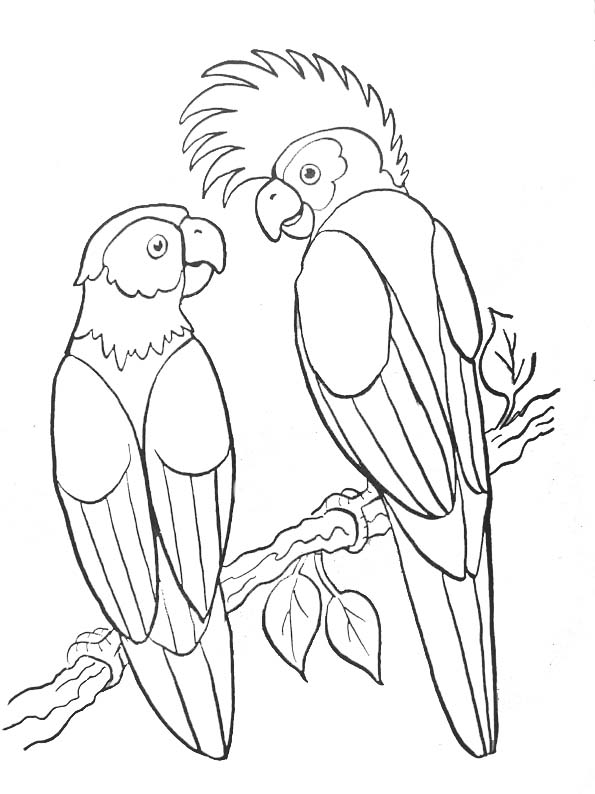 Coloring page: Parrot (Animals) #16064 - Free Printable Coloring Pages