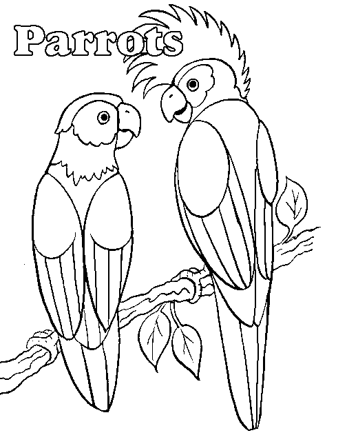 Coloring page: Parrot (Animals) #16068 - Free Printable Coloring Pages