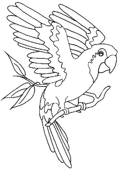 Coloring page: Parrot (Animals) #16072 - Free Printable Coloring Pages