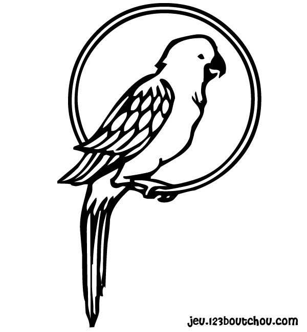 Coloring page: Parrot (Animals) #16080 - Free Printable Coloring Pages