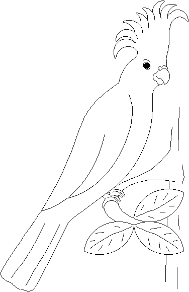 Coloring page: Parrot (Animals) #16092 - Free Printable Coloring Pages