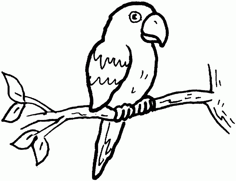 Coloring page: Parrot (Animals) #16099 - Free Printable Coloring Pages
