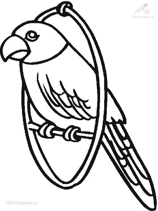 Coloring page: Parrot (Animals) #16112 - Free Printable Coloring Pages