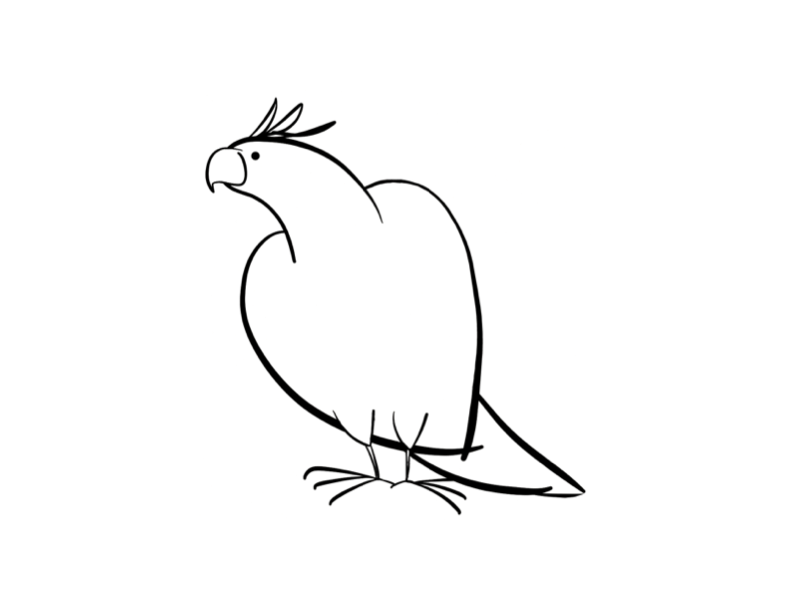 Coloring page: Parrot (Animals) #16133 - Free Printable Coloring Pages