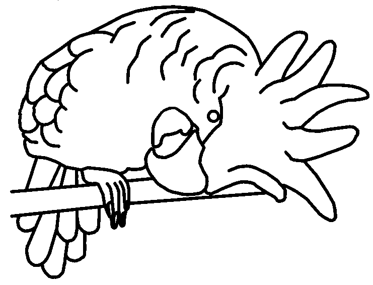Coloring page: Parrot (Animals) #16146 - Free Printable Coloring Pages