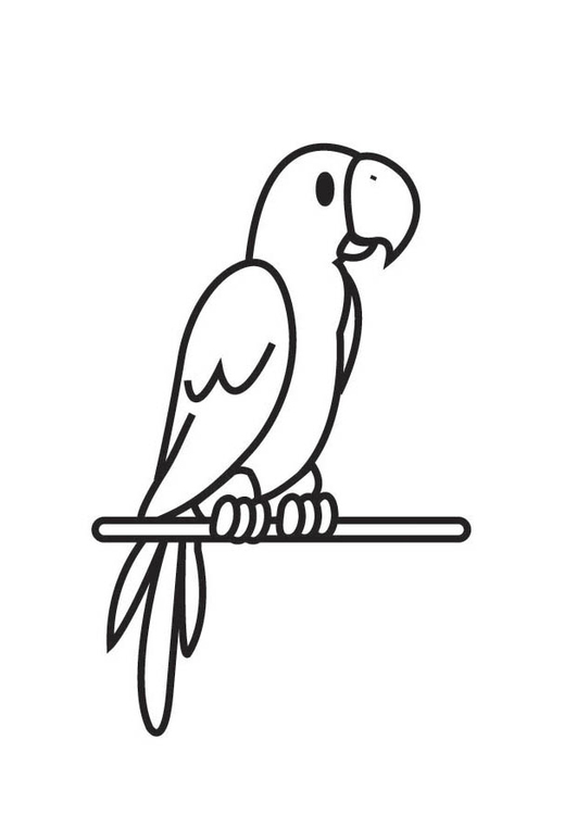 Coloring page: Parrot (Animals) #16148 - Free Printable Coloring Pages