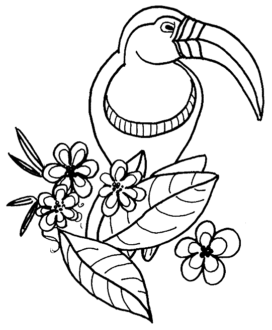 Coloring page: Parrot (Animals) #16164 - Free Printable Coloring Pages
