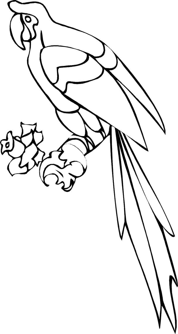Coloring page: Parrot (Animals) #16184 - Free Printable Coloring Pages