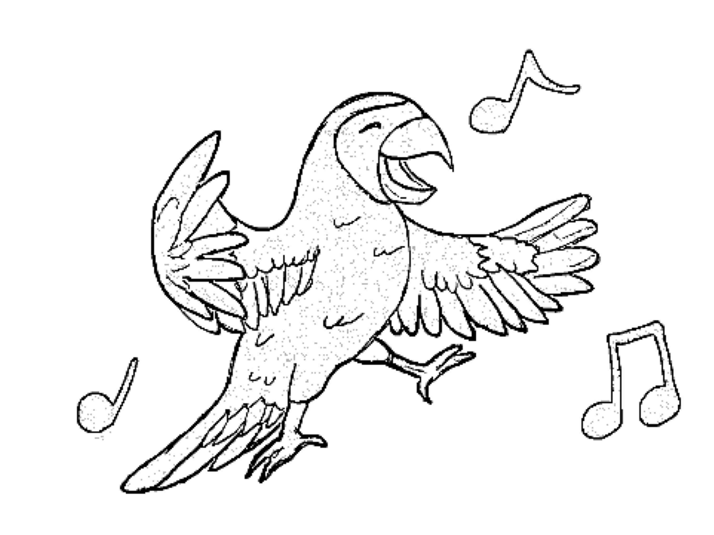 Coloring page: Parrot (Animals) #16186 - Free Printable Coloring Pages