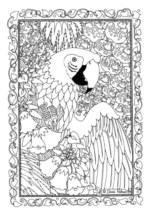 Coloring page: Parrot (Animals) #16190 - Free Printable Coloring Pages