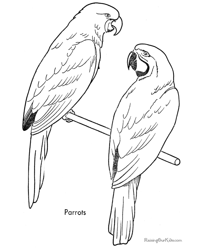 Coloring page: Parrot (Animals) #16194 - Free Printable Coloring Pages
