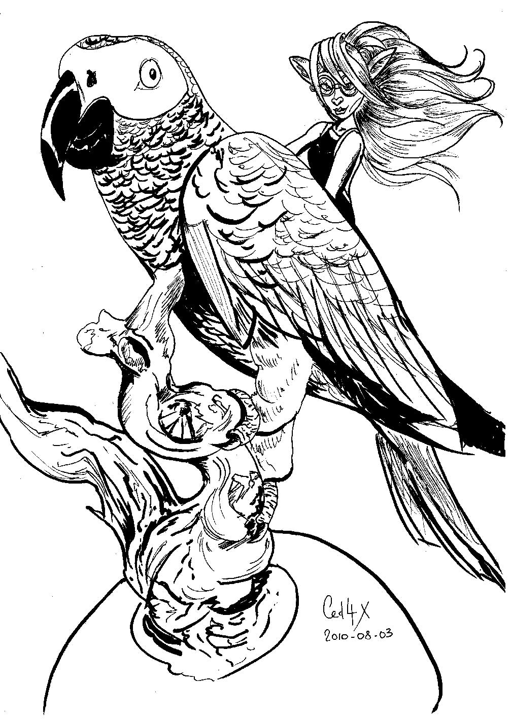 Coloring page: Parrot (Animals) #16242 - Free Printable Coloring Pages