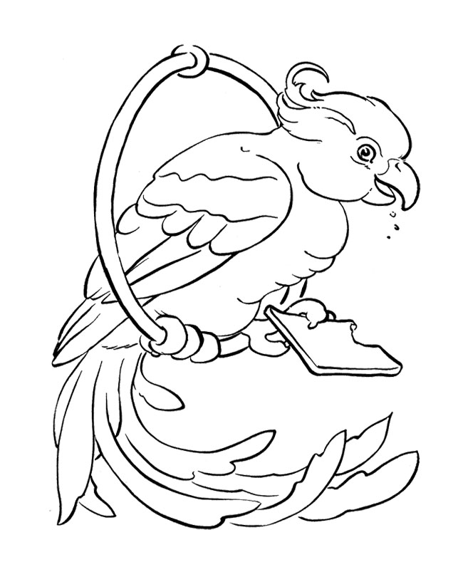 Coloring page: Parrot (Animals) #16252 - Free Printable Coloring Pages