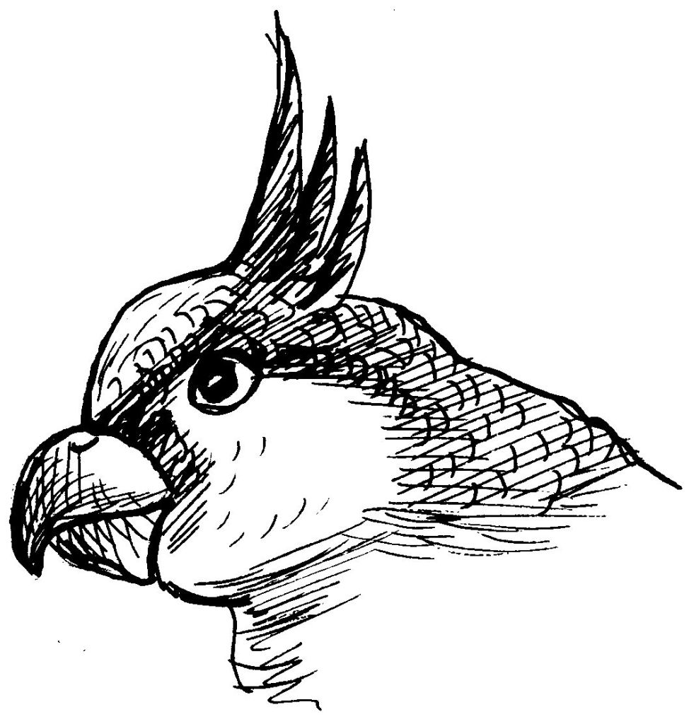 Coloring page: Parrot (Animals) #16253 - Free Printable Coloring Pages