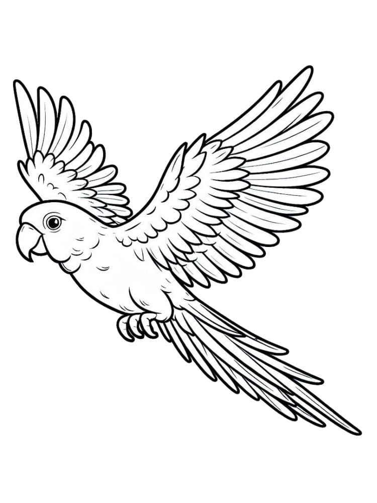 Free printable Parrot coloring page #217788 from Animals collection