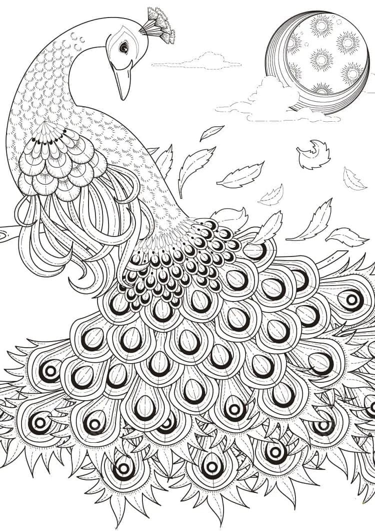 Free printable Peacock coloring page #197576 from Animals collection
