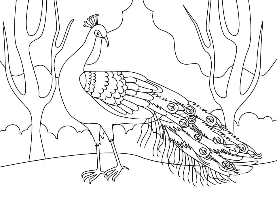 Free printable Peacock coloring page #197581 from Animals collection