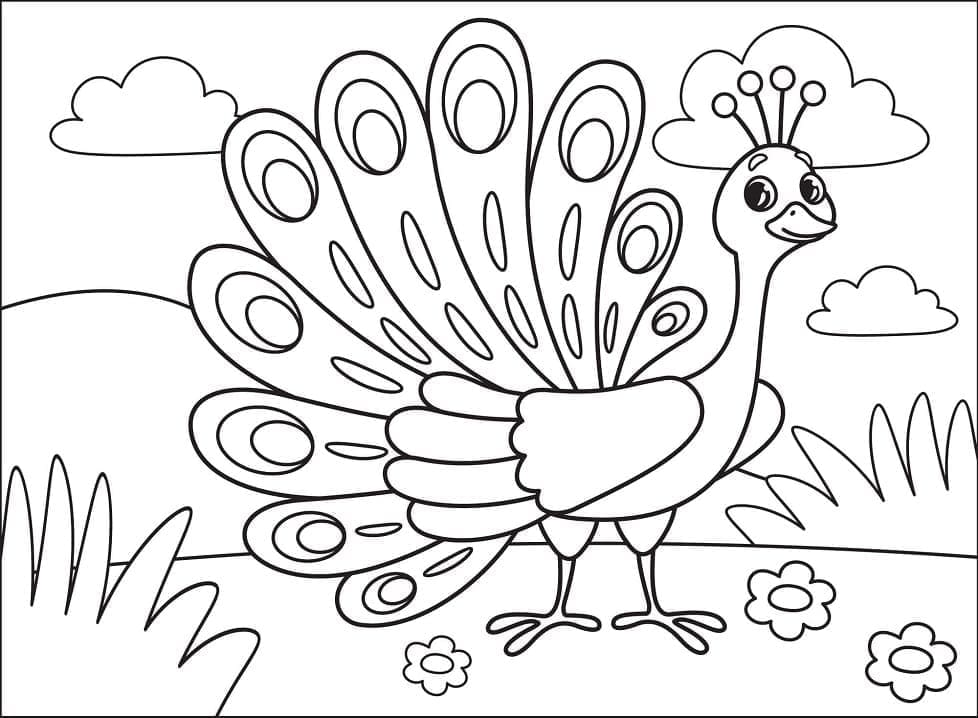 Free printable Peacock coloring page #197598 from Animals collection