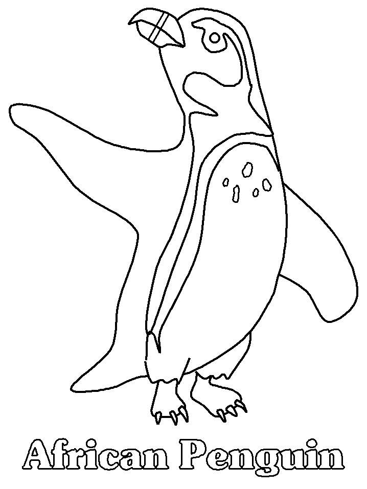 Coloring page: Penguin (Animals) #16847 - Free Printable Coloring Pages