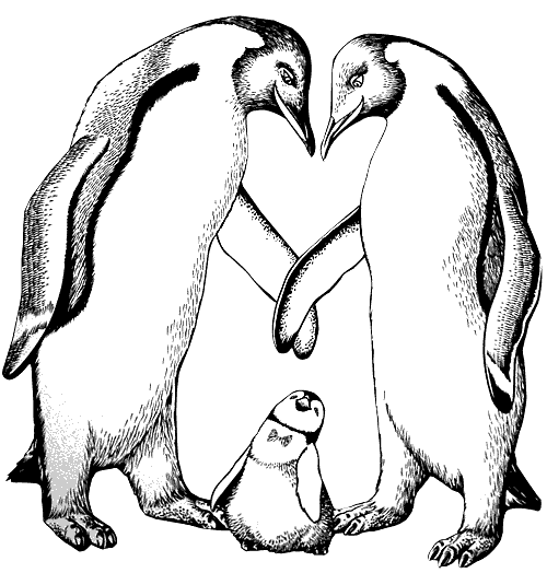 Coloring page: Penguin (Animals) #16854 - Free Printable Coloring Pages